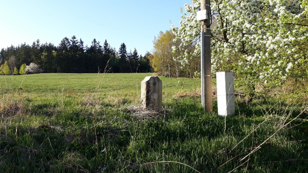 Ein grasbewachsenes Feld mit einem zentralen Baum, umgeben von anderen Bäumen unter einem klaren blauen Himmel, mit einem Pfahl und zwei Betonblöcken im Vordergrund, möglicherweise Teil eines Denkmals.