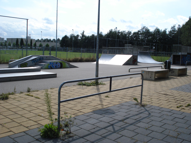Ein Skatepark mit Rampen, Geländern, Pflanzen, Gras, Polen, Bäumen, Gebäuden und einem bewölkten Himmel im Hintergrund.