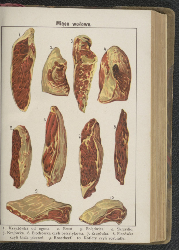 Offenes Buch mit verschiedenen Fleischstücken auf schwarzer Oberfläche, mit begleitendem Text und Bildern, die jedes Stück beschreiben.