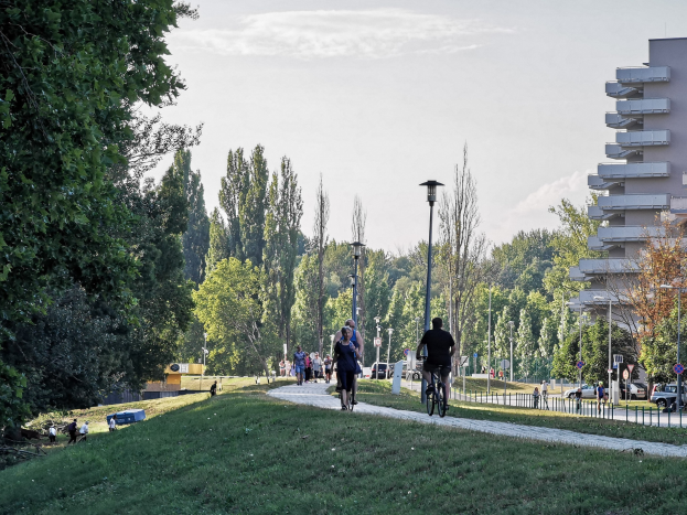 Gruppe von Menschen, die auf Fahrrädern eine Parkwegstrecke mit Bäumen, Straßeneinrichtungsgegenständen, Fahrzeugen und Gebäuden im Hintergrund entlangfahren.