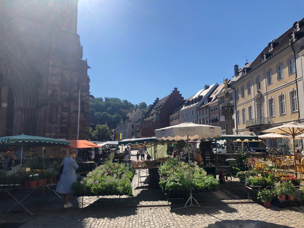 Ein belebter Markt im Freien in Heidelbergs Altstadt mit Menschen an Tischen mit Blumentöpfen unter Schirmen, mit Gebäuden, Bäumen und einem klaren blauen Himmel im Hintergrund.