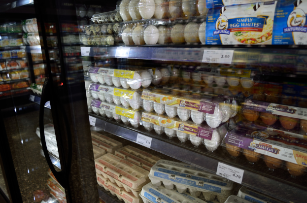 Ein Kühlschrank in einem Supermarkt mit verschiedenen Eierarten in ordentlichen Regalen, jeweils mit Preisschildern versehen, vor einem leicht unscharfen Hintergrund.