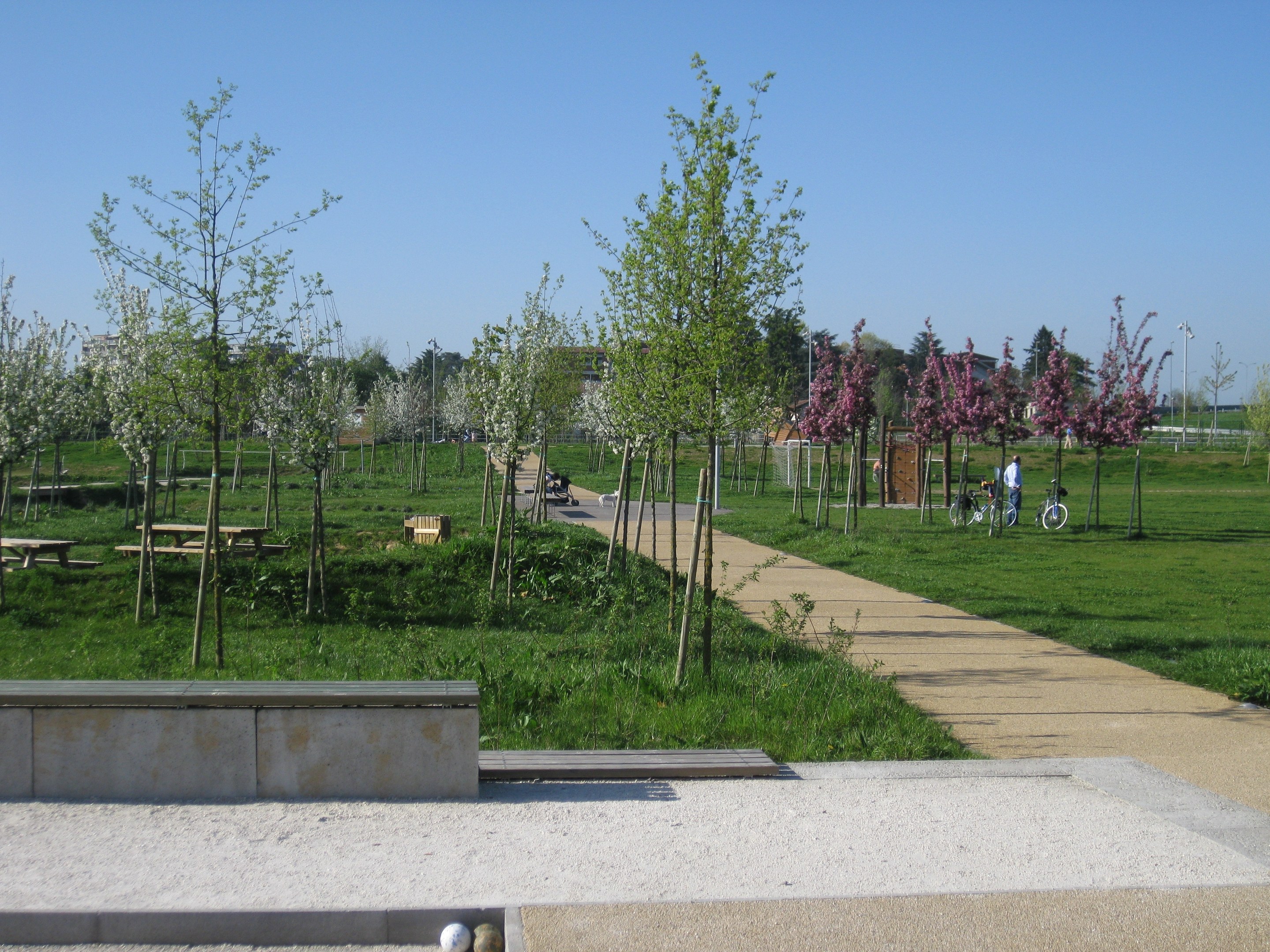 Ein parkähnlicher Weg, gesäumt von Bäumen und Bänken, auf dem Menschen Fahrräder fahren; im Hintergrund sind Gebäude und ein klarer blauer Himmel zu sehen, während der Boden mit saftigem Grün bedeckt ist.