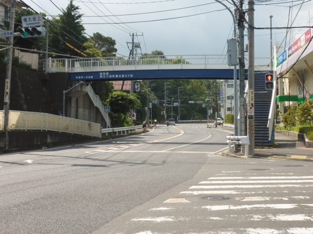 Stadtstraße mit einer Fußgängerbrücke darüber, Fahrzeuge auf der Straße, Strommasten mit Drähten, Ampeln, Schilder, Gebäude, Bäume und Himmel im Hintergrund.
