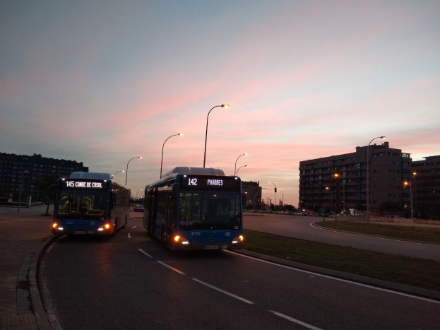 Zwei Busse fahren auf einer von hohen Gebäuden gesäumten Stadtstraße, die von Straßenlaternen, Gras und Bäumen gesäumt ist.