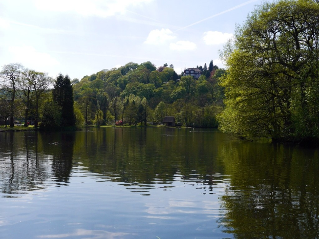 Natur pur: Das sind die Seen zwischen Harz und Heide