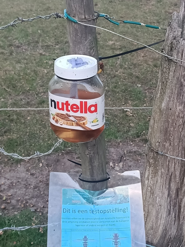 Eine Flasche Nutella auf einem Stacheldrahtzaun mit einem Papier am Pfahl und einem Baumstamm rechts daneben, vor einem Hintergrund aus saftigem Grün.