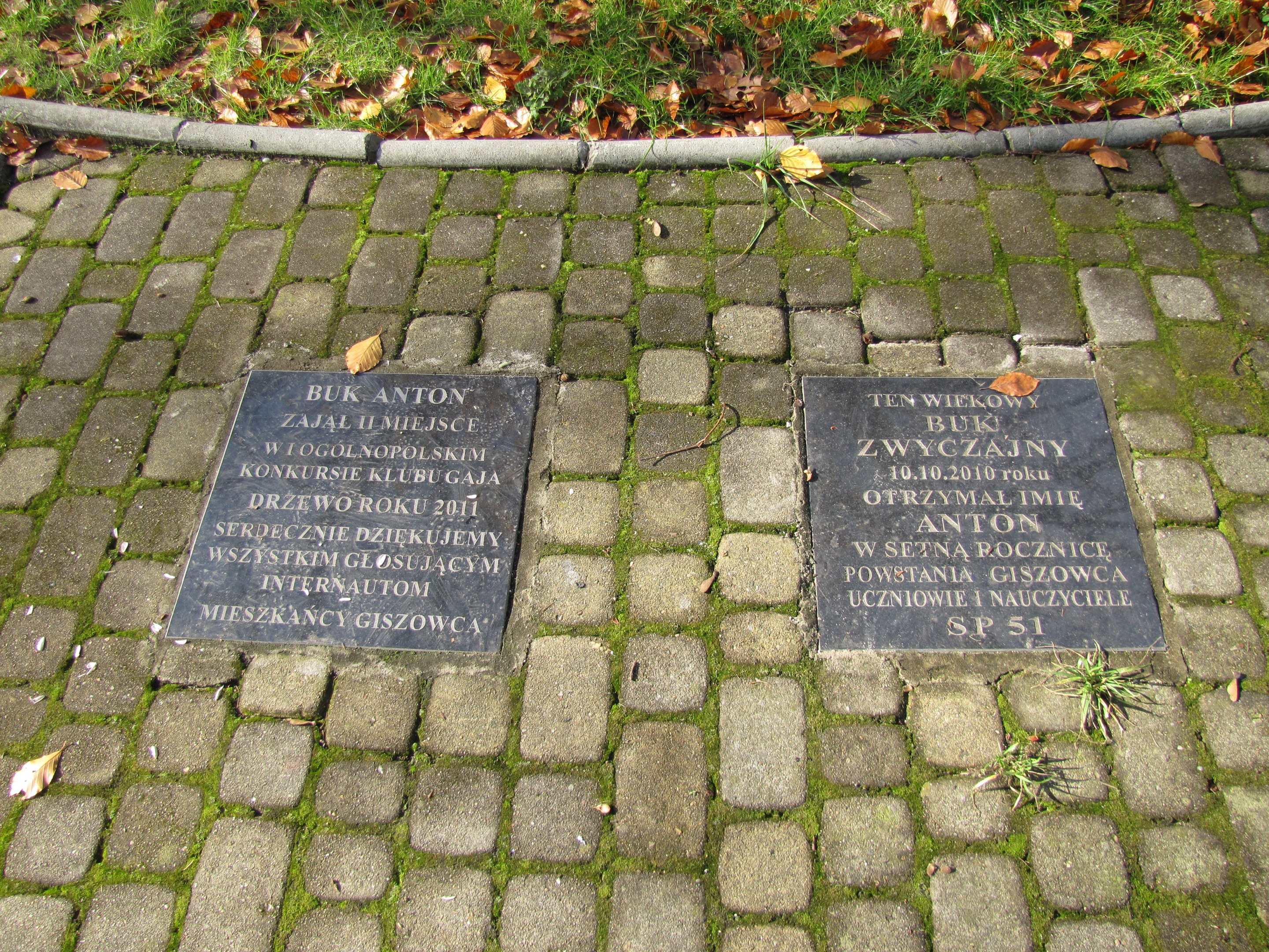 Zwei Gedenktafeln mit Inschrift auf einem Kopfsteinpflasterweg in einem Park, umgeben von Gras und trockenen Blättern, wahrscheinlich ein Denkmal.