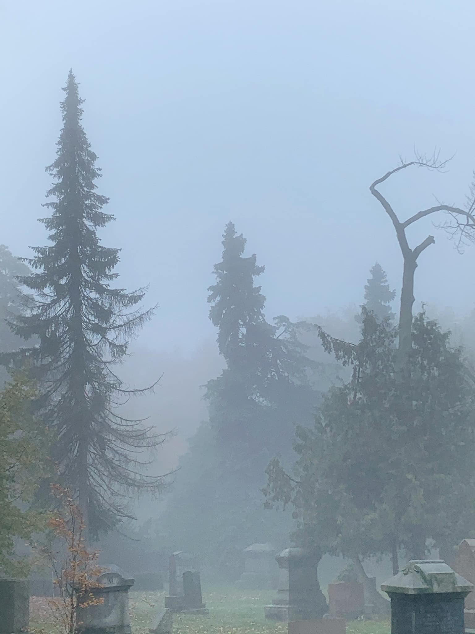 Ein nebliger Friedhof mit mehreren Grabsteinen und Bäumen im Hintergrund unter einem trüben grauen Himmel.